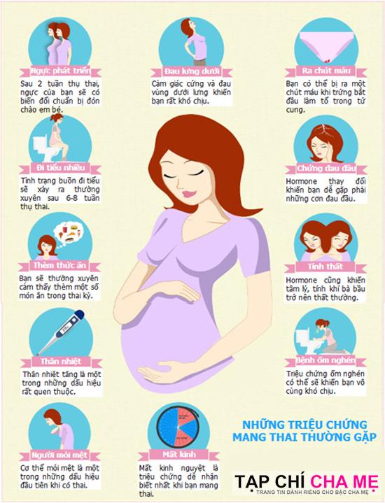 Infographic mang thai: Những dấu hiệu trong giai đoạn mang thai
