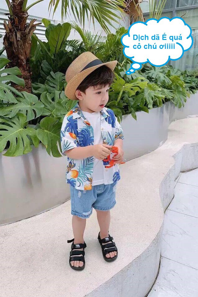 Áo sơ mi hawaii họa tiết lá cọ nhiệt đới, trái đào (Unisex)